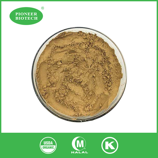olive leaf extract powder